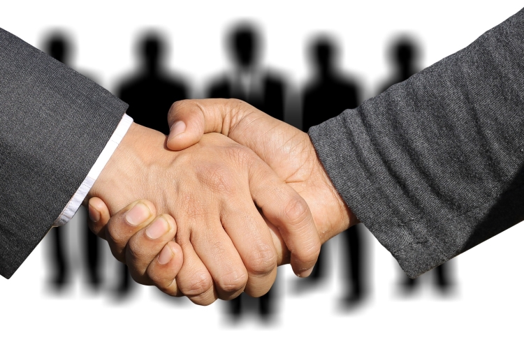 Solution Partnership
